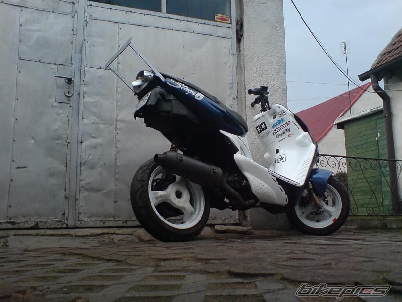 1999 SUZUKI AY 50 | Picture 1596540 motorcycle photo