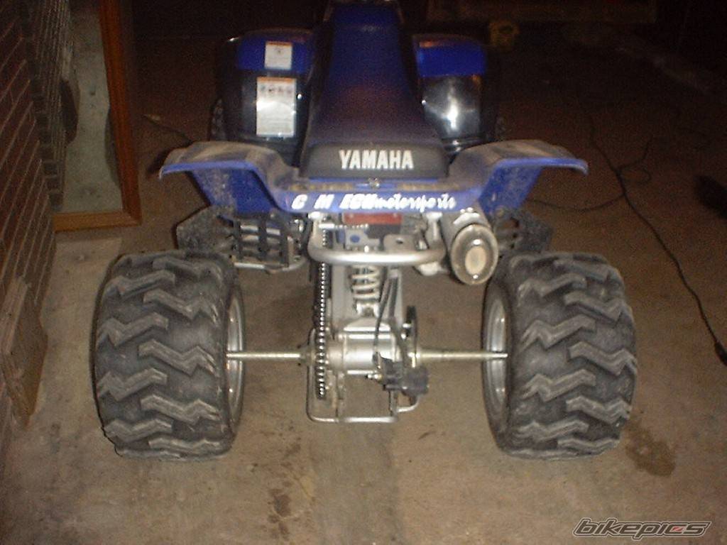 2000 YAMAHA WARRIOR | Picture 15969 motorcycle photo