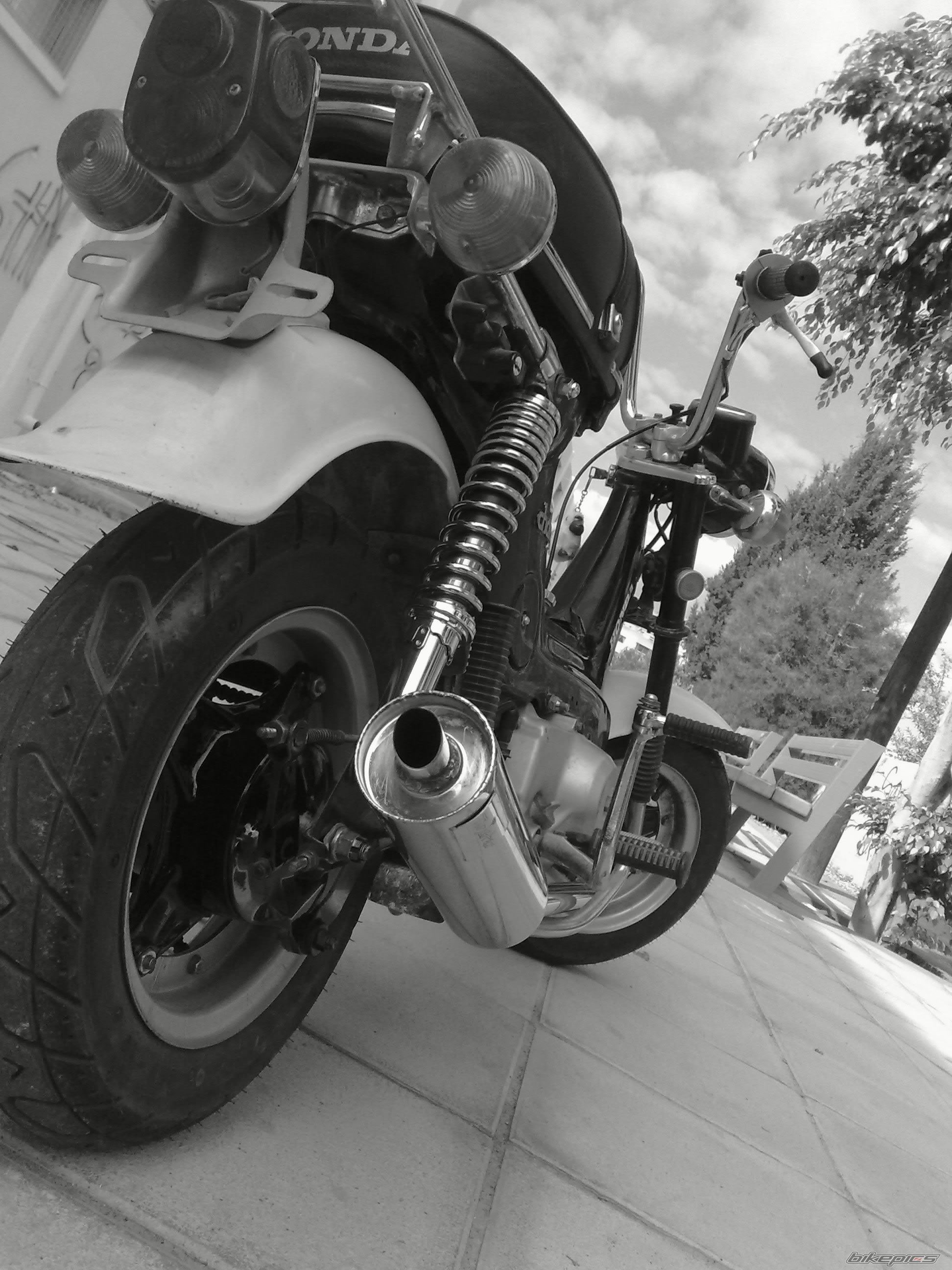 1973 HONDA CHALY | Picture 1597172 motorcycle photo
