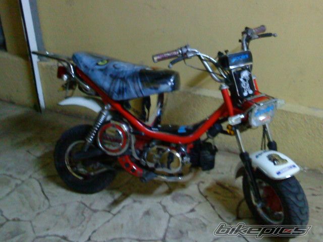 2009 YAMAHA LB 50 CHAPPY | Picture 1598051 motorcycle photo