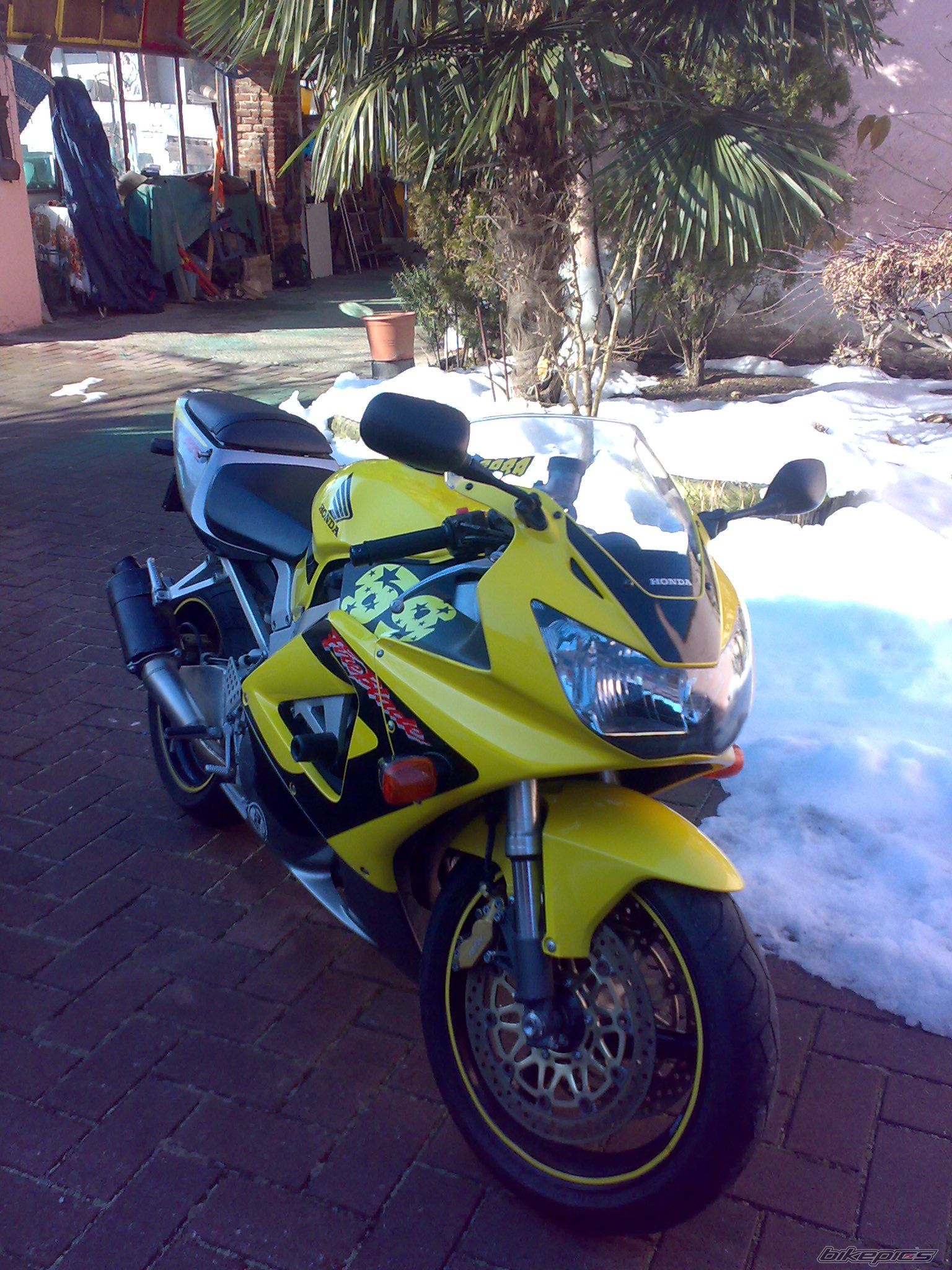 2007 HONDA CBR 900 | Picture 1598308 motorcycle photo