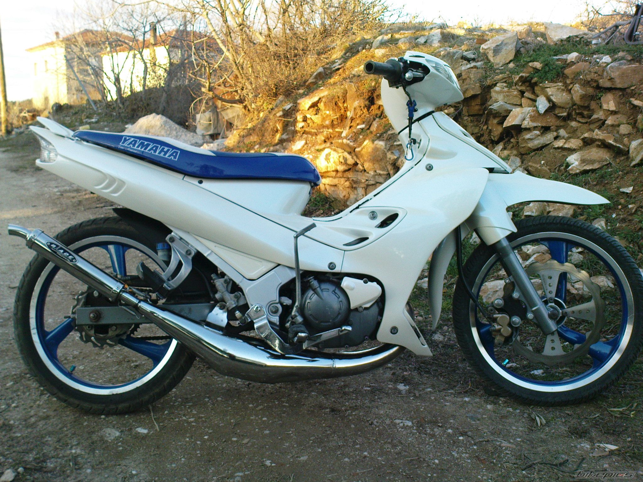 2009 YAMAHA Z 125 | Picture 1598748 motorcycle photo