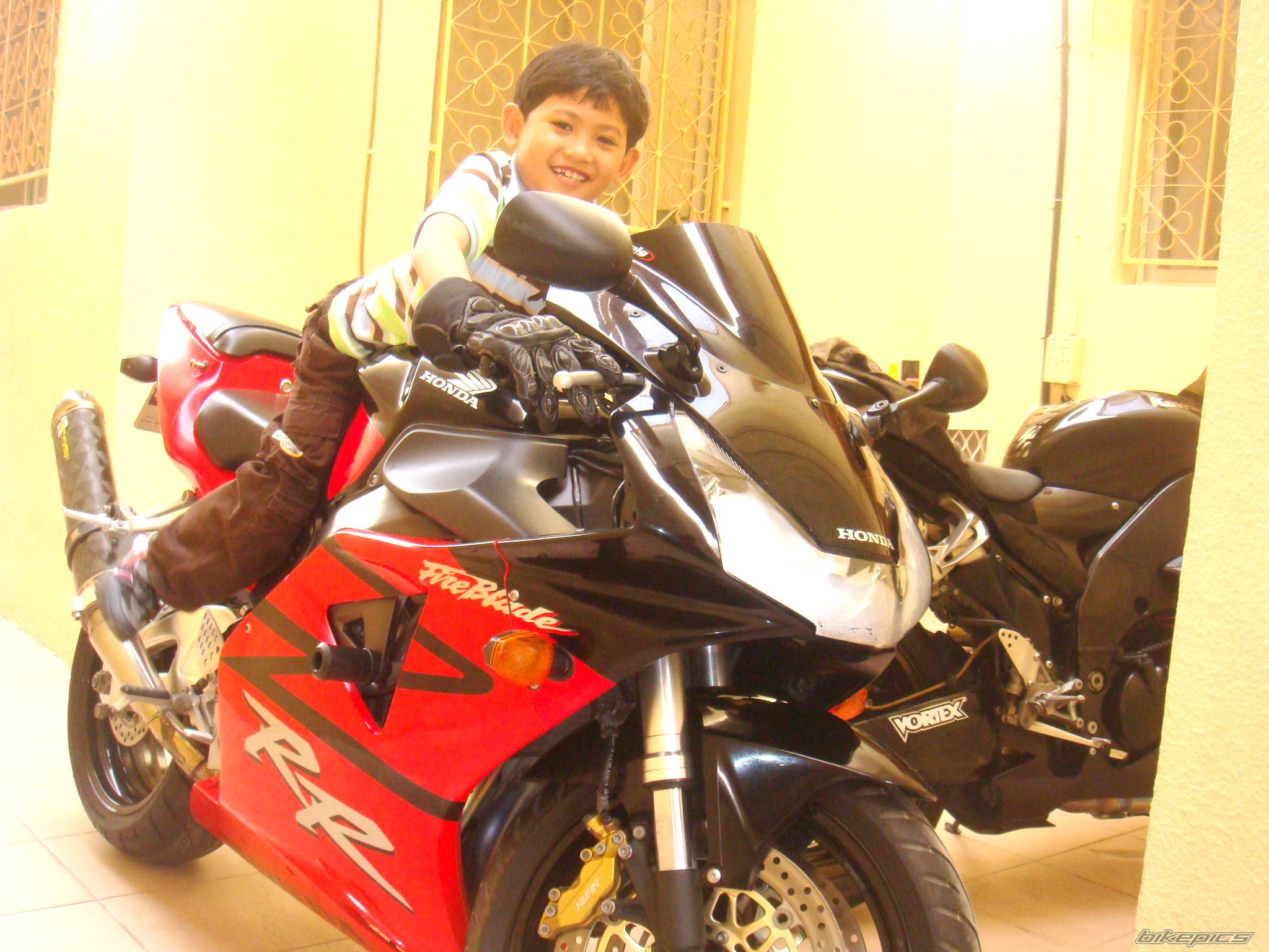 2004 HONDA CBR 900 | Picture 1598756 motorcycle photo