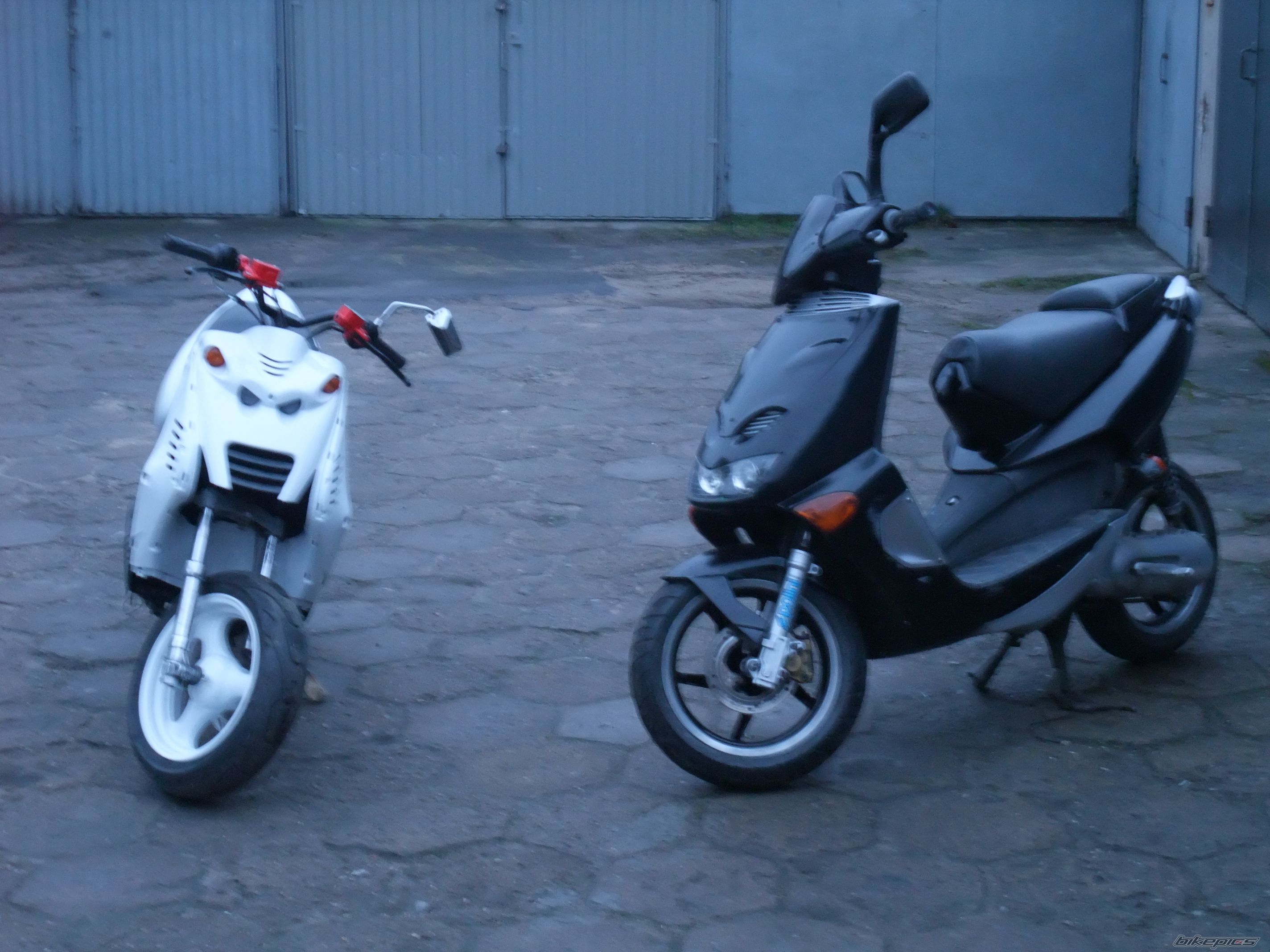 1998 APRILIA SR WWW 50 | Picture 1598841 motorcycle photo