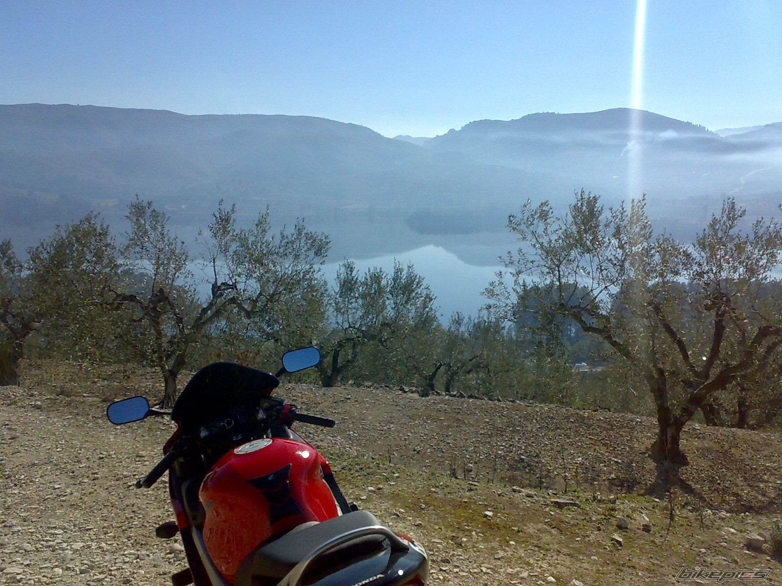 2005 HONDA CBR 600 FS | Picture 1599016 motorcycle photo