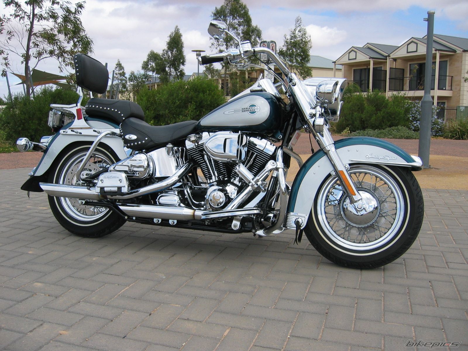 2004 HARLEY DAVIDSON FLSTC | Picture 1599995 motorcycle photo