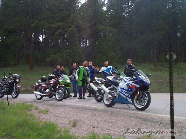 2001 SUZUKI GSX R 1000 | Picture 16002 motorcycle photo