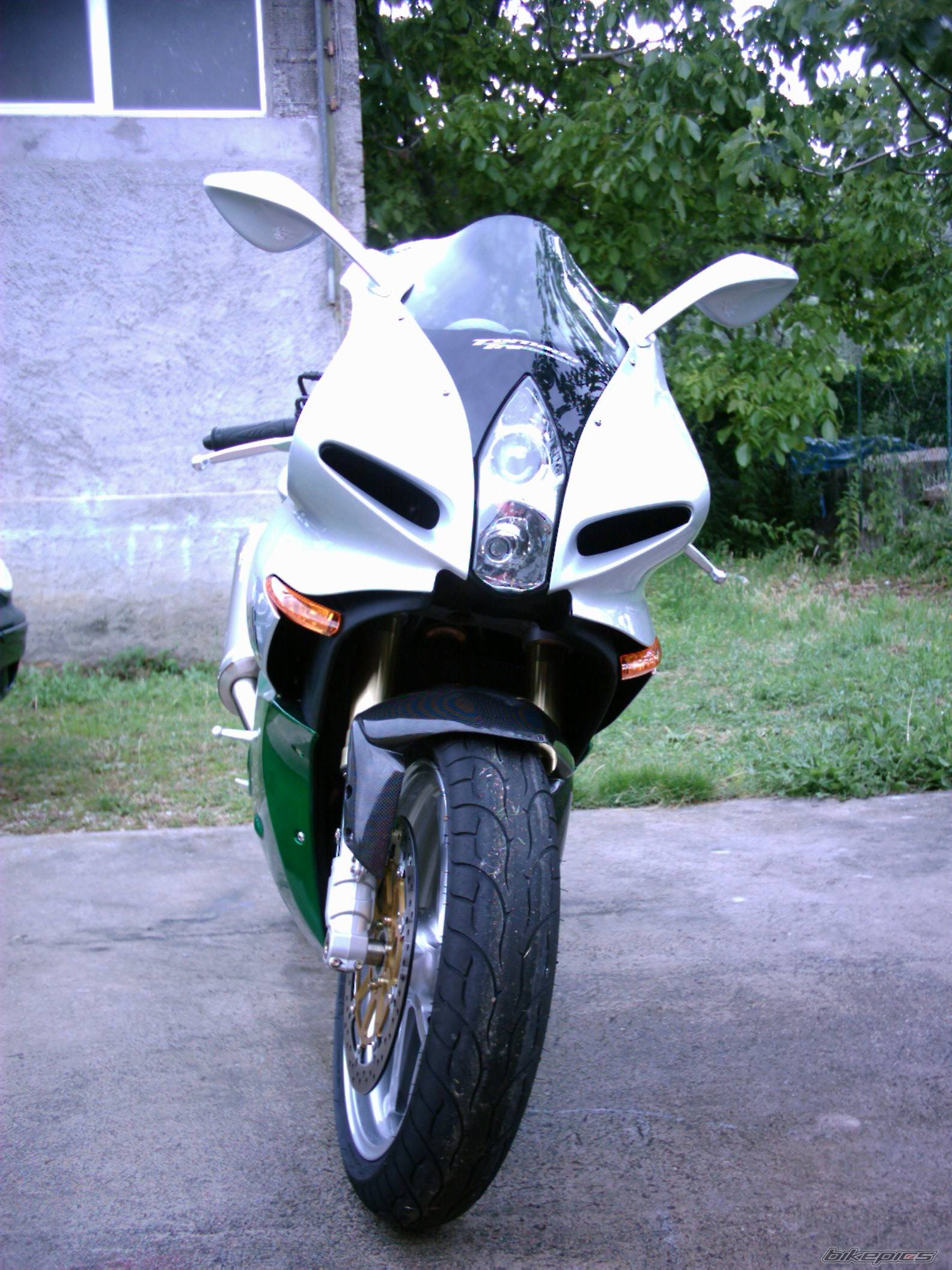 2004 BENELLI TORNADO | Picture 160070 motorcycle photo