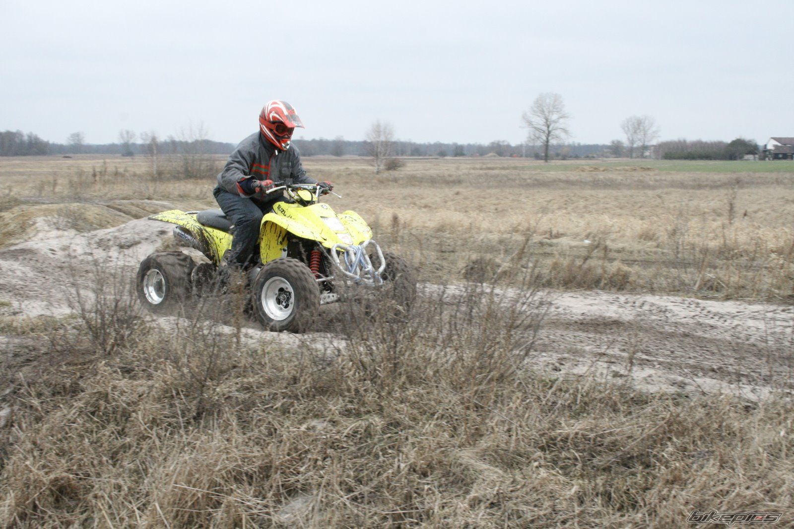 2003 SUZUKI LTZ 400 | Picture 1600750 motorcycle photo