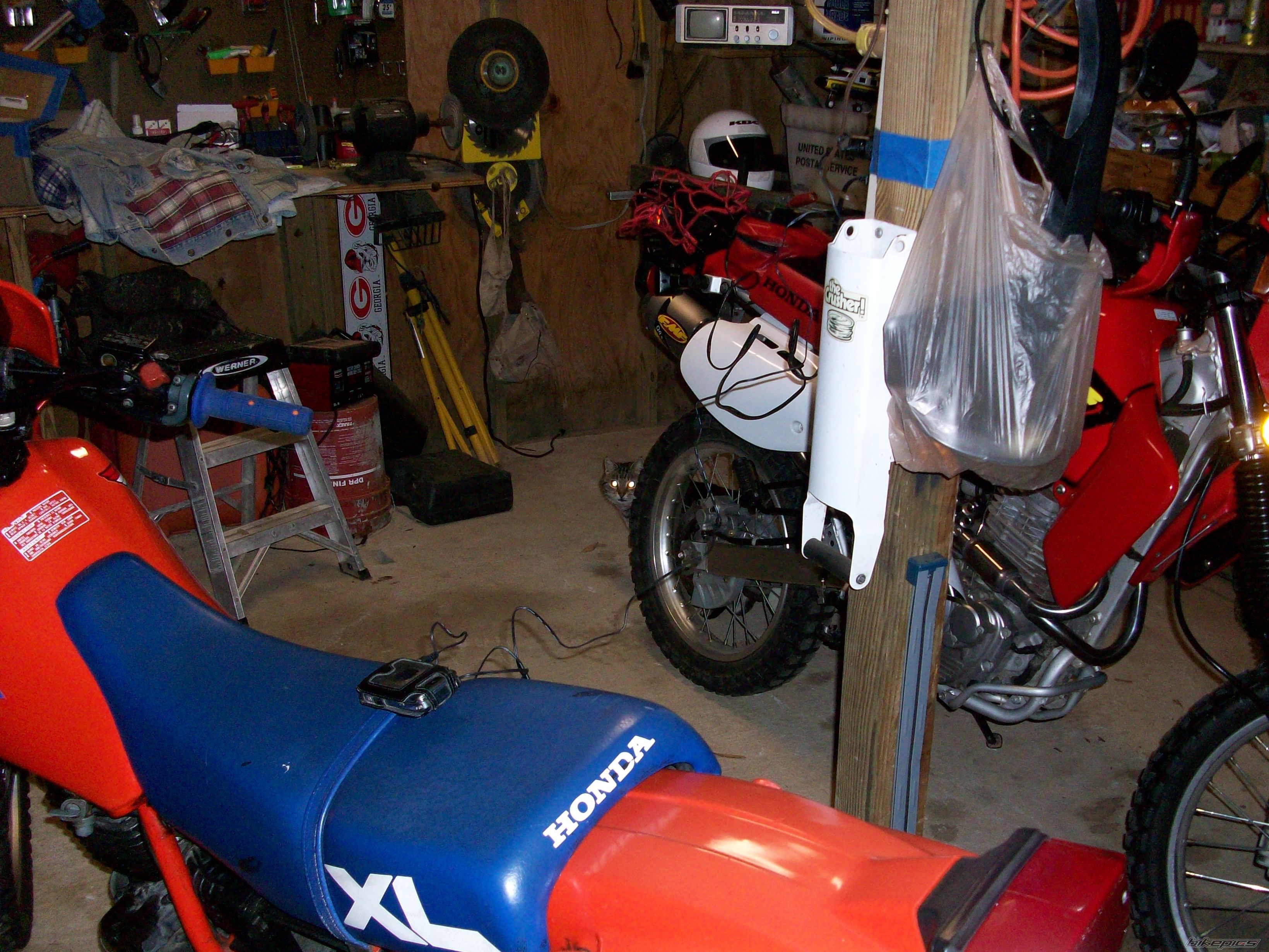 1989 HONDA CR 250 | Picture 1600839 motorcycle photo