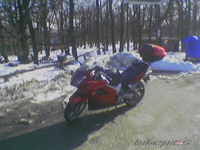 2007 HONDA VFR 800 | Picture 1601154 motorcycle photo