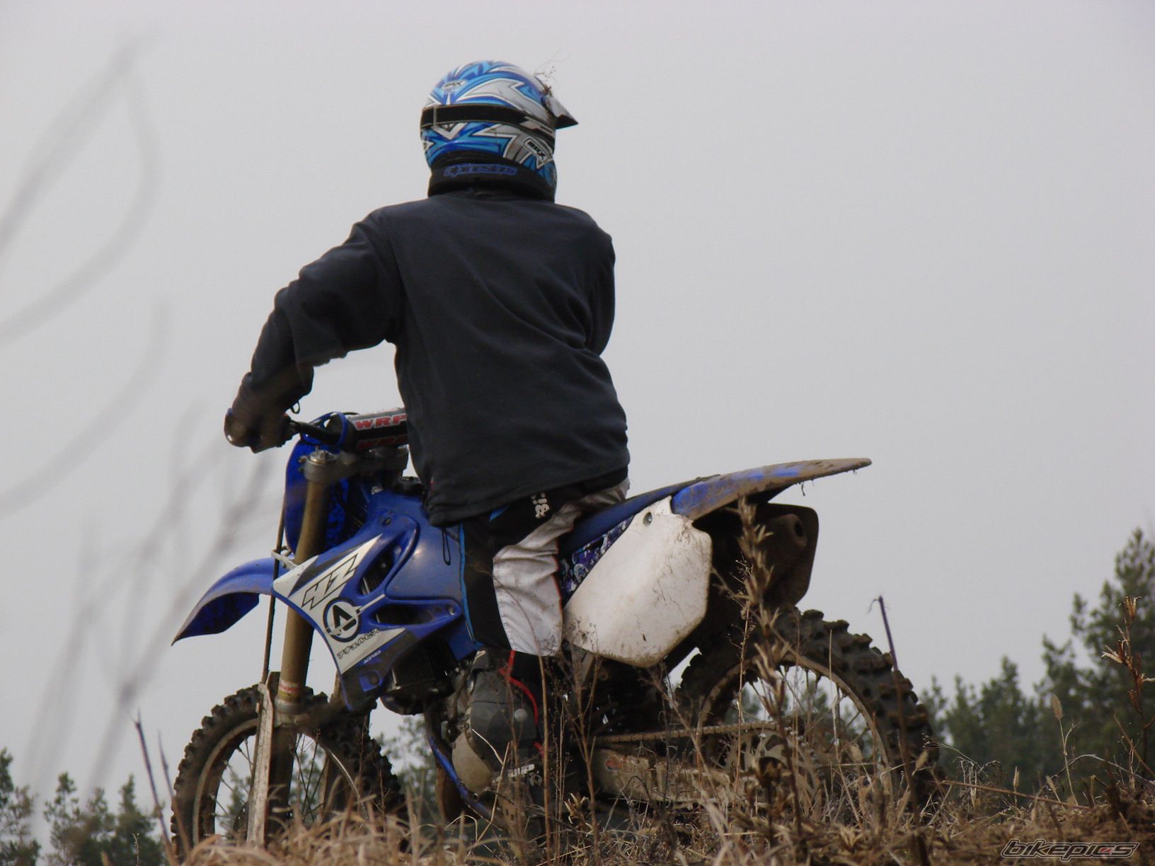 2004 YAMAHA YZ 125 | Picture 1601155 motorcycle photo