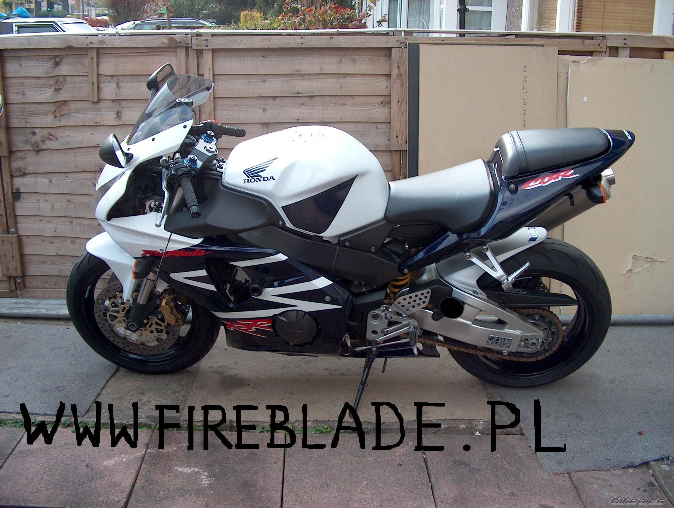 2003 HONDA CBR 900 | Picture 1601477 motorcycle photo