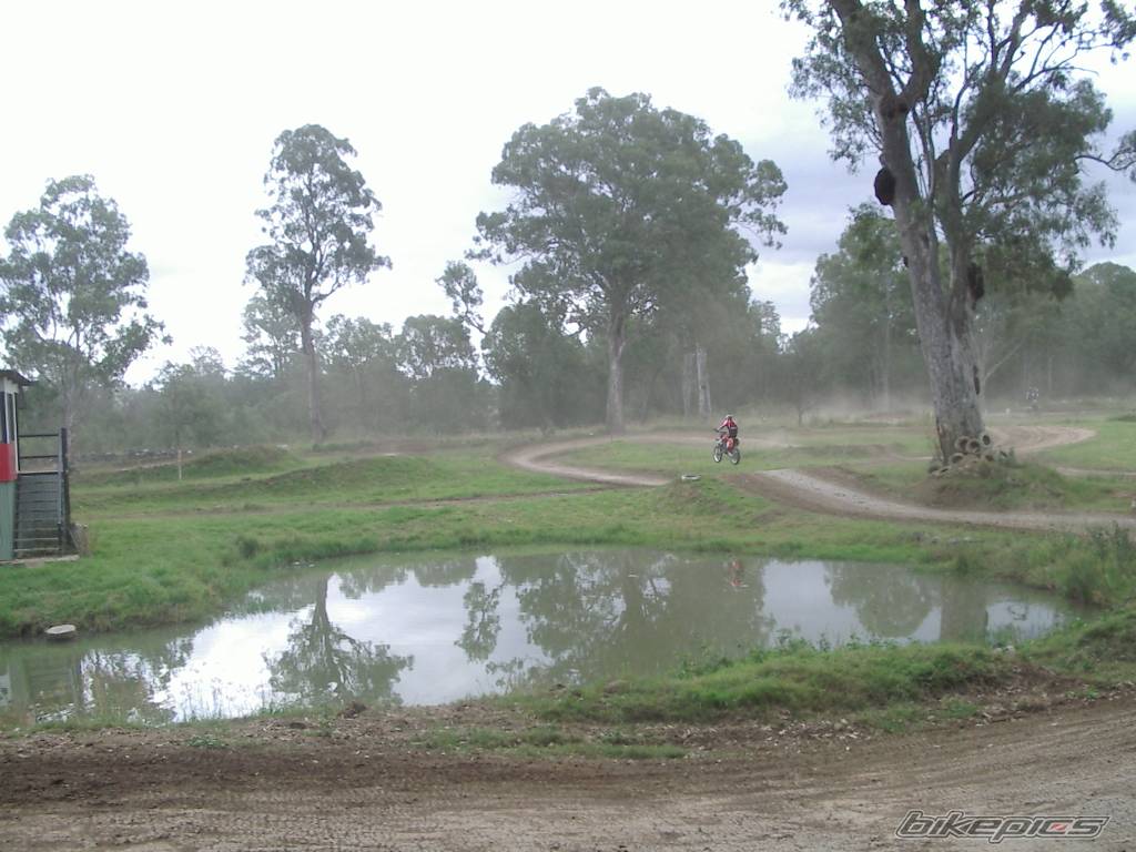 1998 HONDA CR 125 | Picture 160155 motorcycle photo