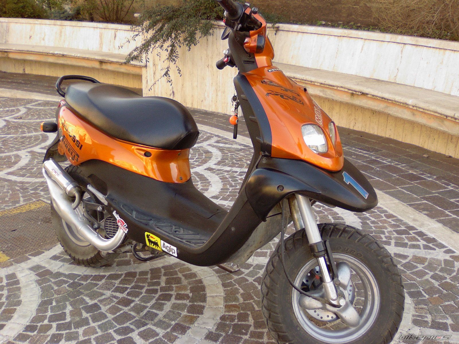 1999 PEUGEOT TREKKER 50 | Picture 1601663 motorcycle photo