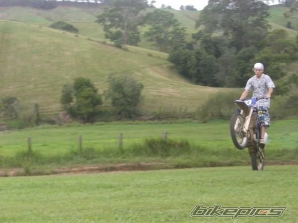 2003 YAMAHA YZ 125 | Picture 1601830 motorcycle photo