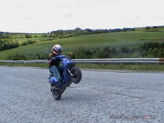 2000 GILERA TYPHOON 50 | Picture 160267 motorcycle photo