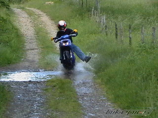 2000 GILERA TYPHOON 50 | Picture 160270 motorcycle photo