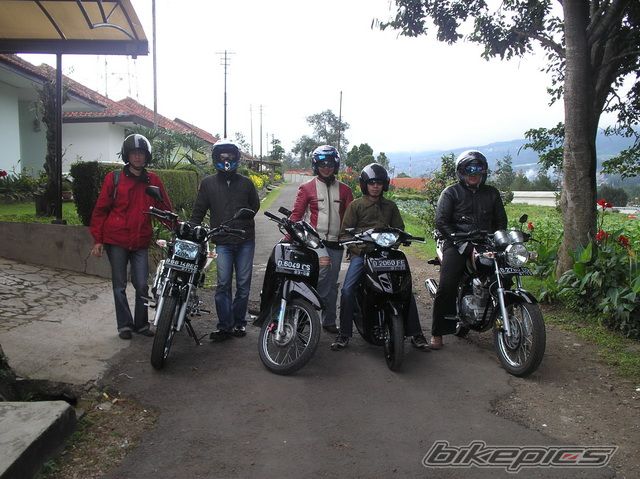 2009 YAMAHA SCORPIO 225 | Picture 1603084 motorcycle photo