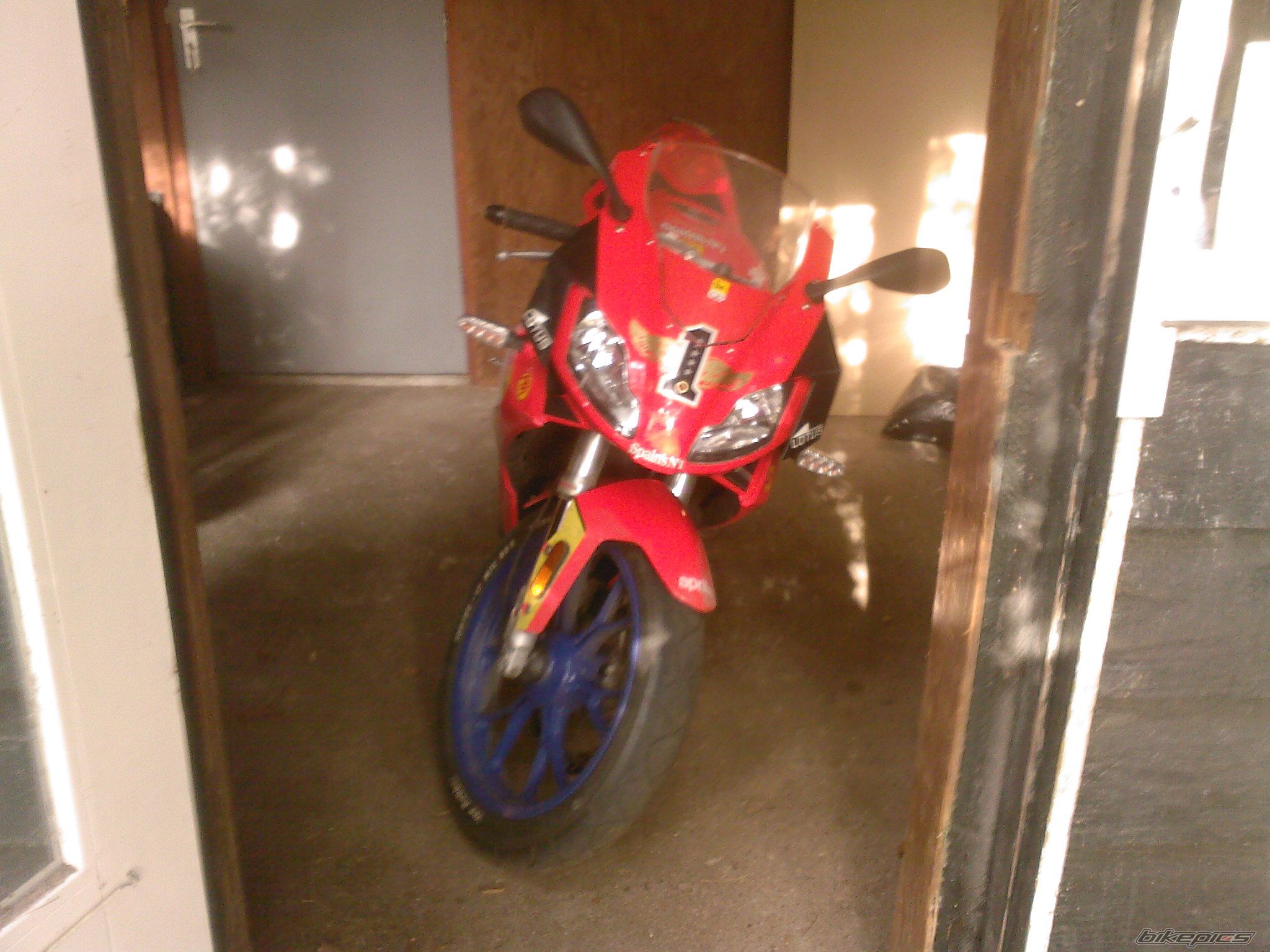 2008 APRILIA RS 50 | Picture 1603310 motorcycle photo
