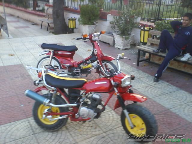 2009 HONDA C 90 | Picture 1604015 motorcycle photo