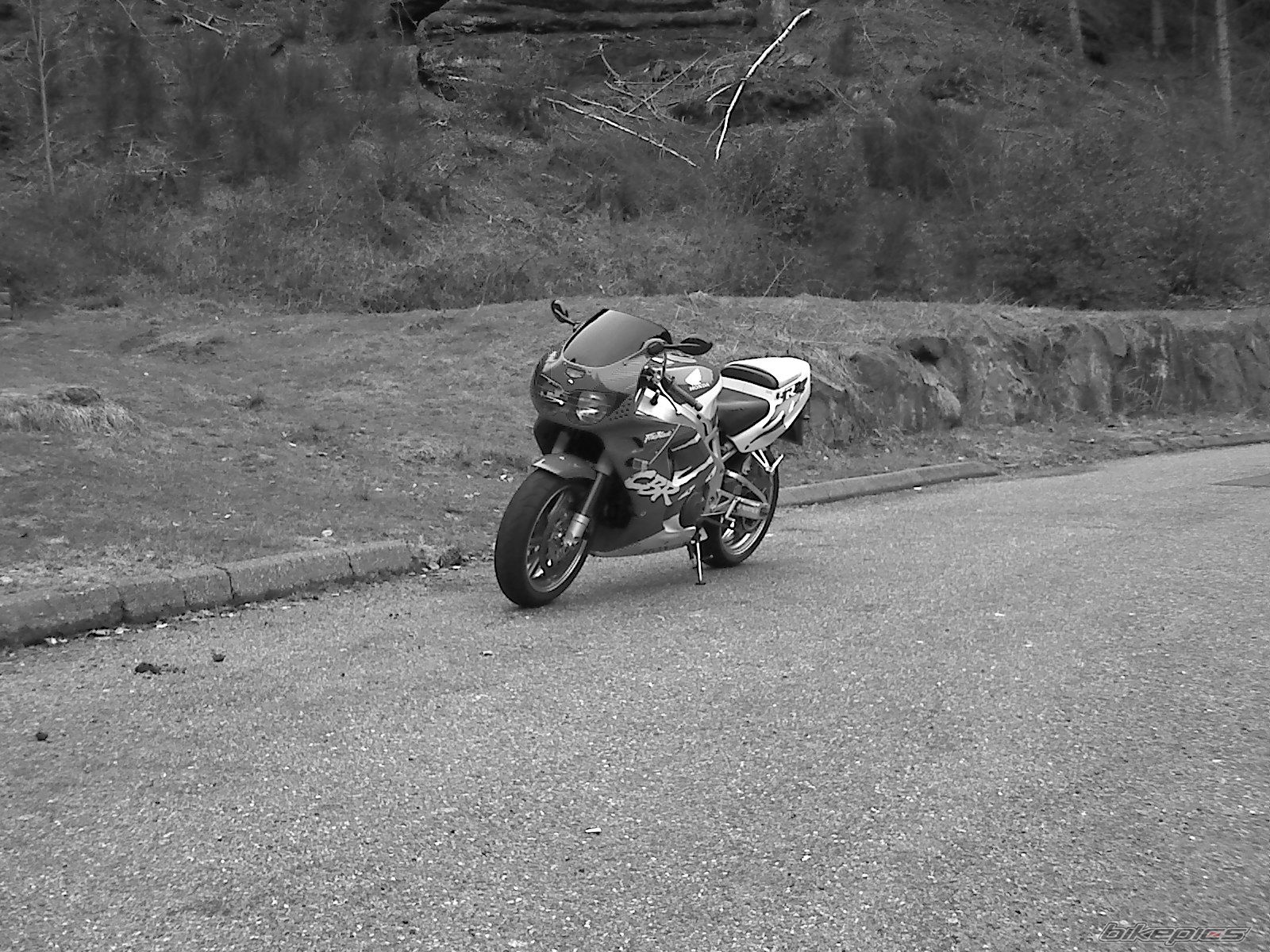1995 HONDA CBR 900 | Picture 1604177 motorcycle photo