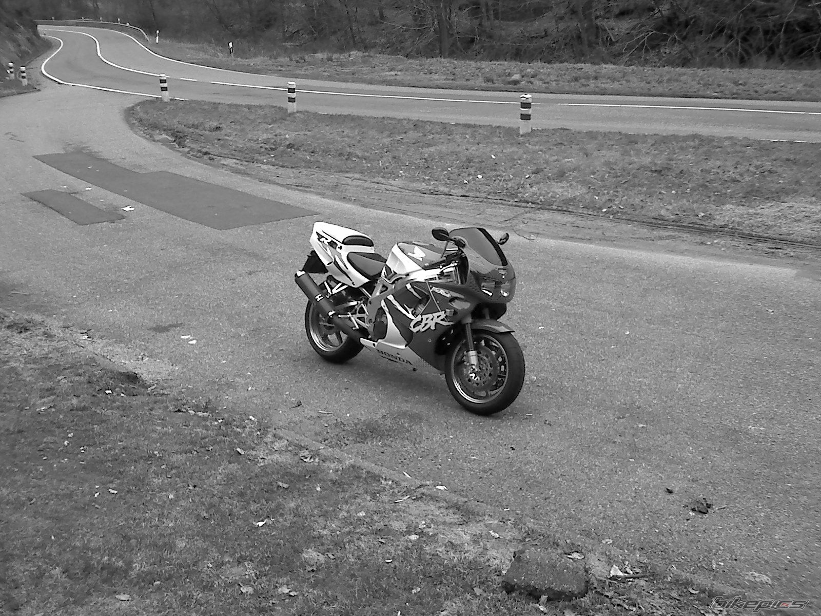 1995 HONDA CBR 900 | Picture 1604178 motorcycle photo