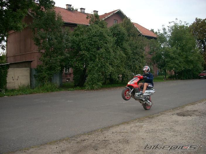 2004 GILERA RUNNER 50 | Picture 1604463 motorcycle photo