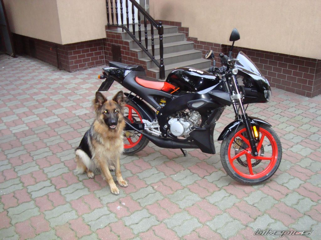 2004 APRILIA TUONO 50 | Picture 1604514 motorcycle photo