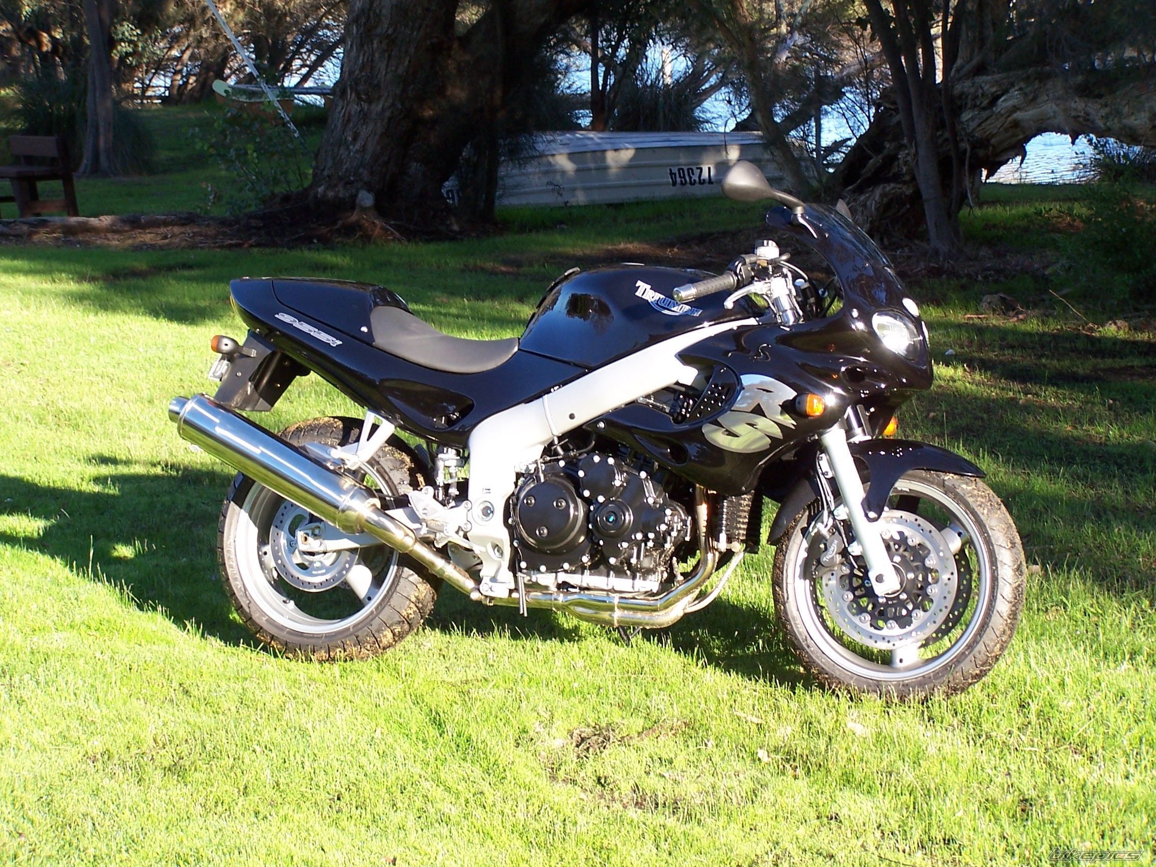 2004 TRIUMPH SPRINT RS | Picture 1604704 motorcycle photo