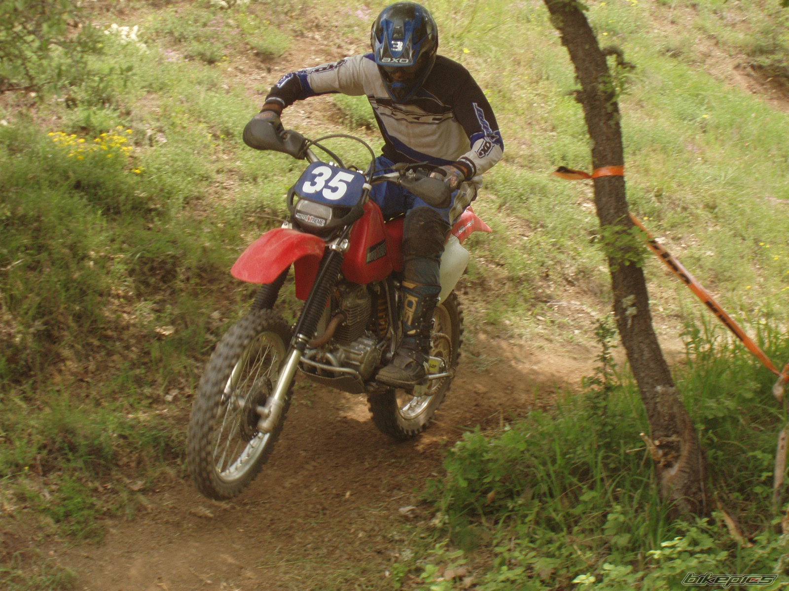 2001 HONDA XR 250 | Picture 160508 motorcycle photo