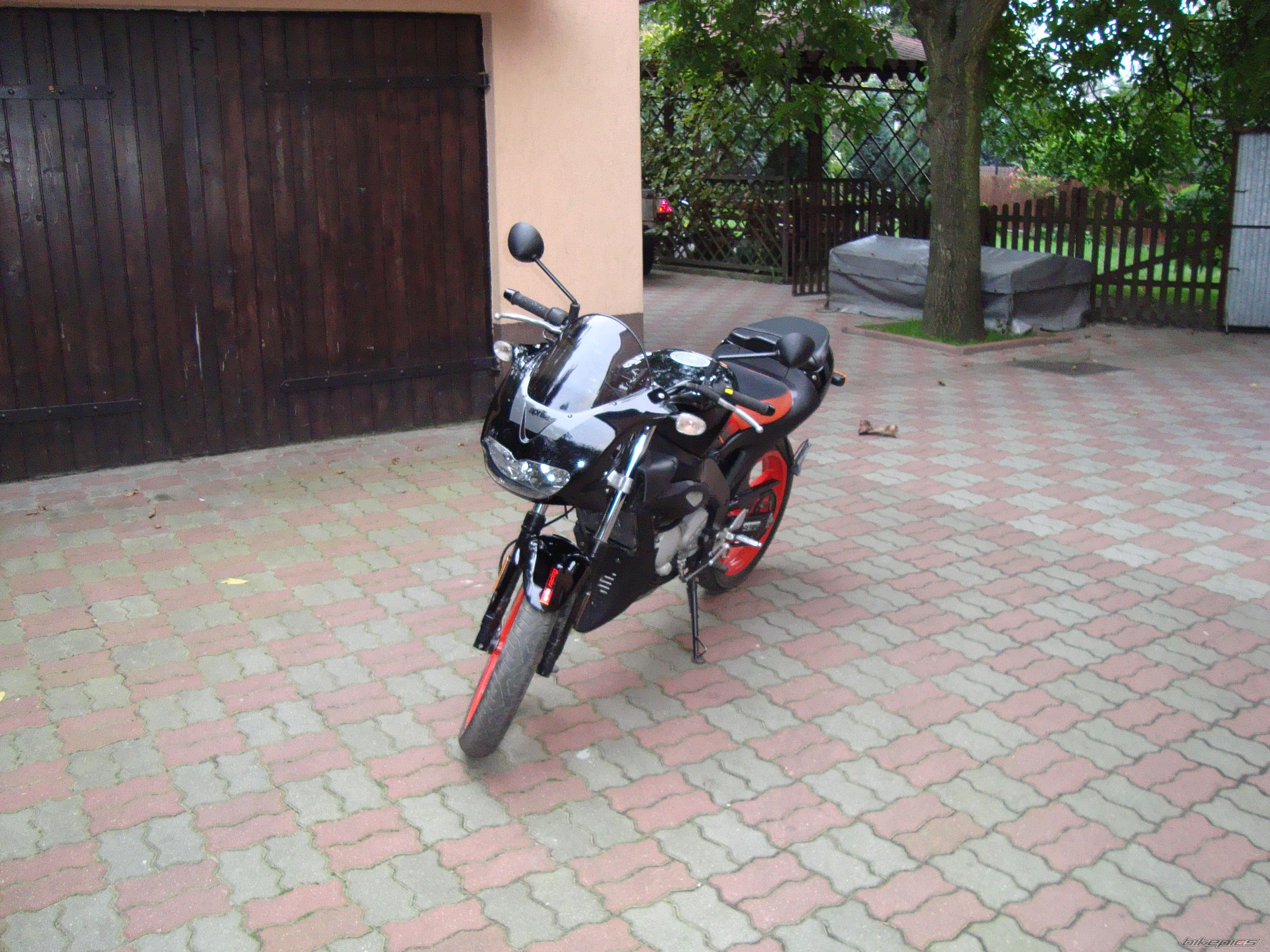2004 APRILIA TUONO 50 | Picture 1605241 motorcycle photo