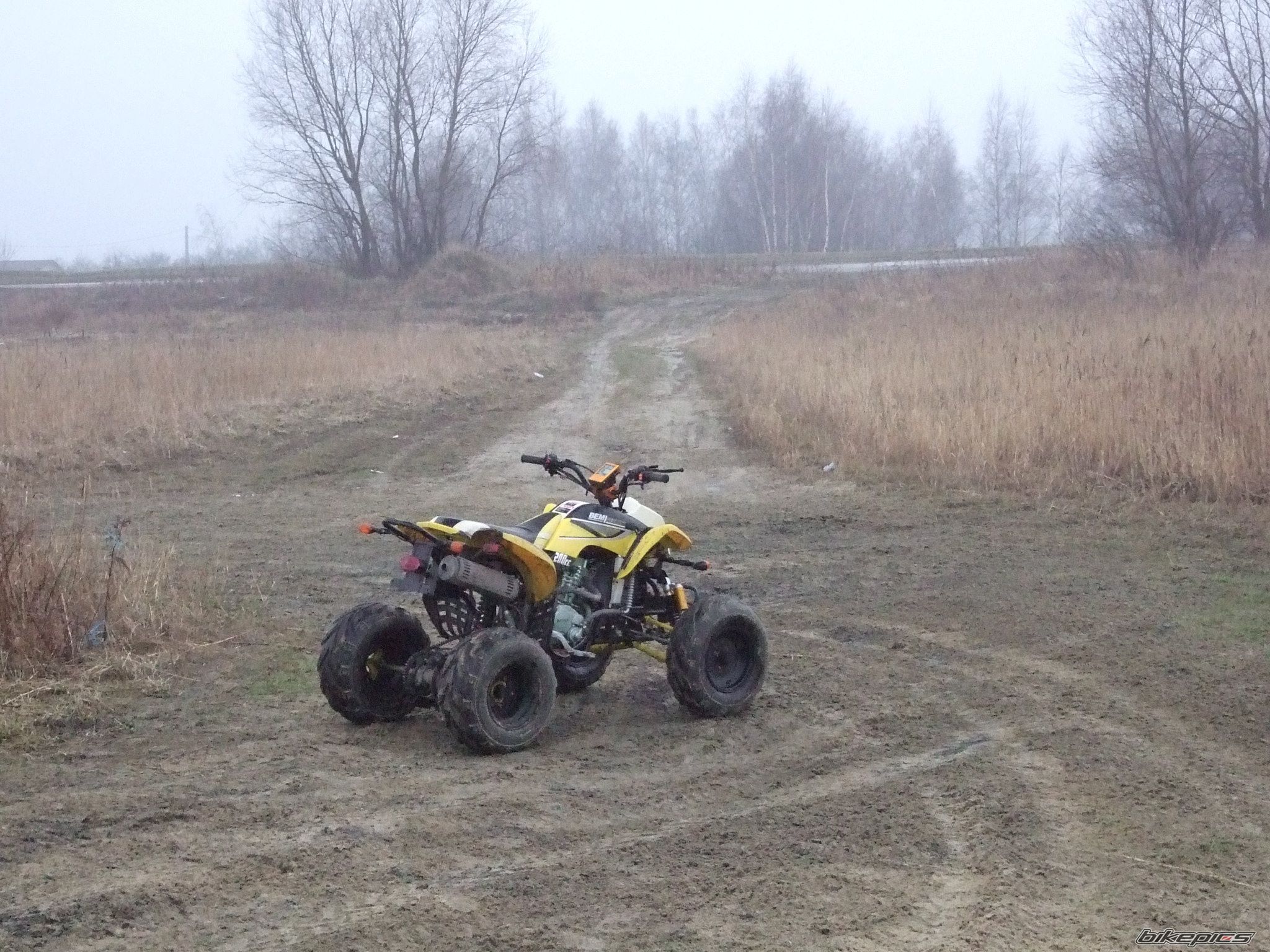 2008 BASHAN BS 200 | Picture 1605653 motorcycle photo