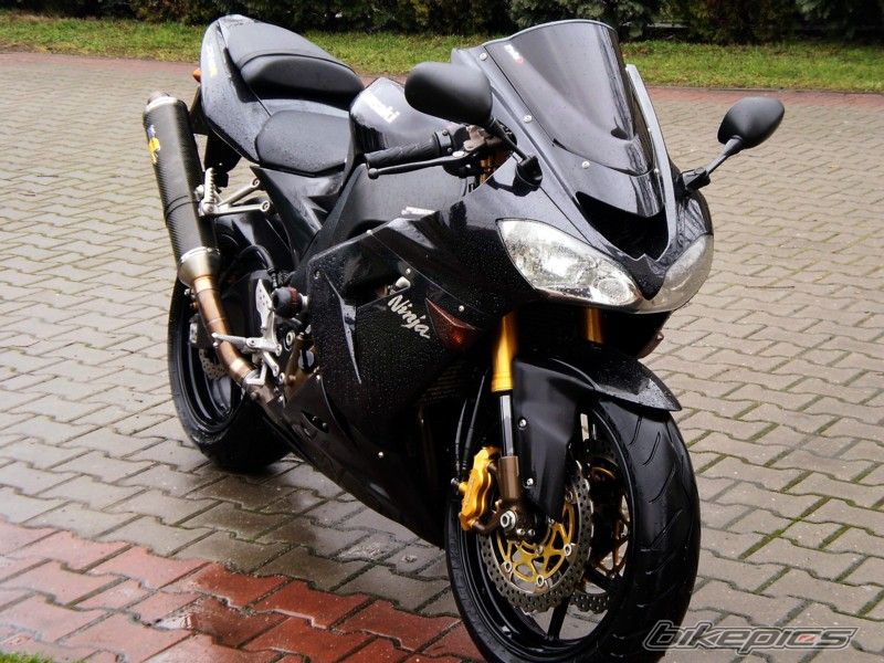 2004 KAWASAKI ZX 10R | Picture 1606083 motorcycle photo