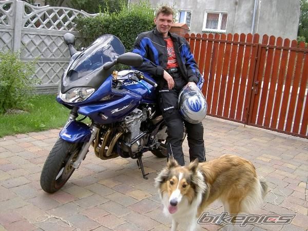 2000 SUZUKI BANDIT 600 | Picture 1606104 motorcycle photo
