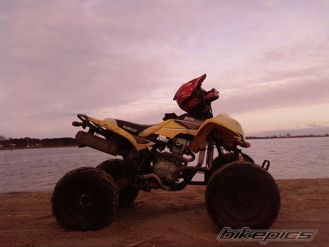 2008 BASHAN BS 200 | Picture 1606639 motorcycle photo