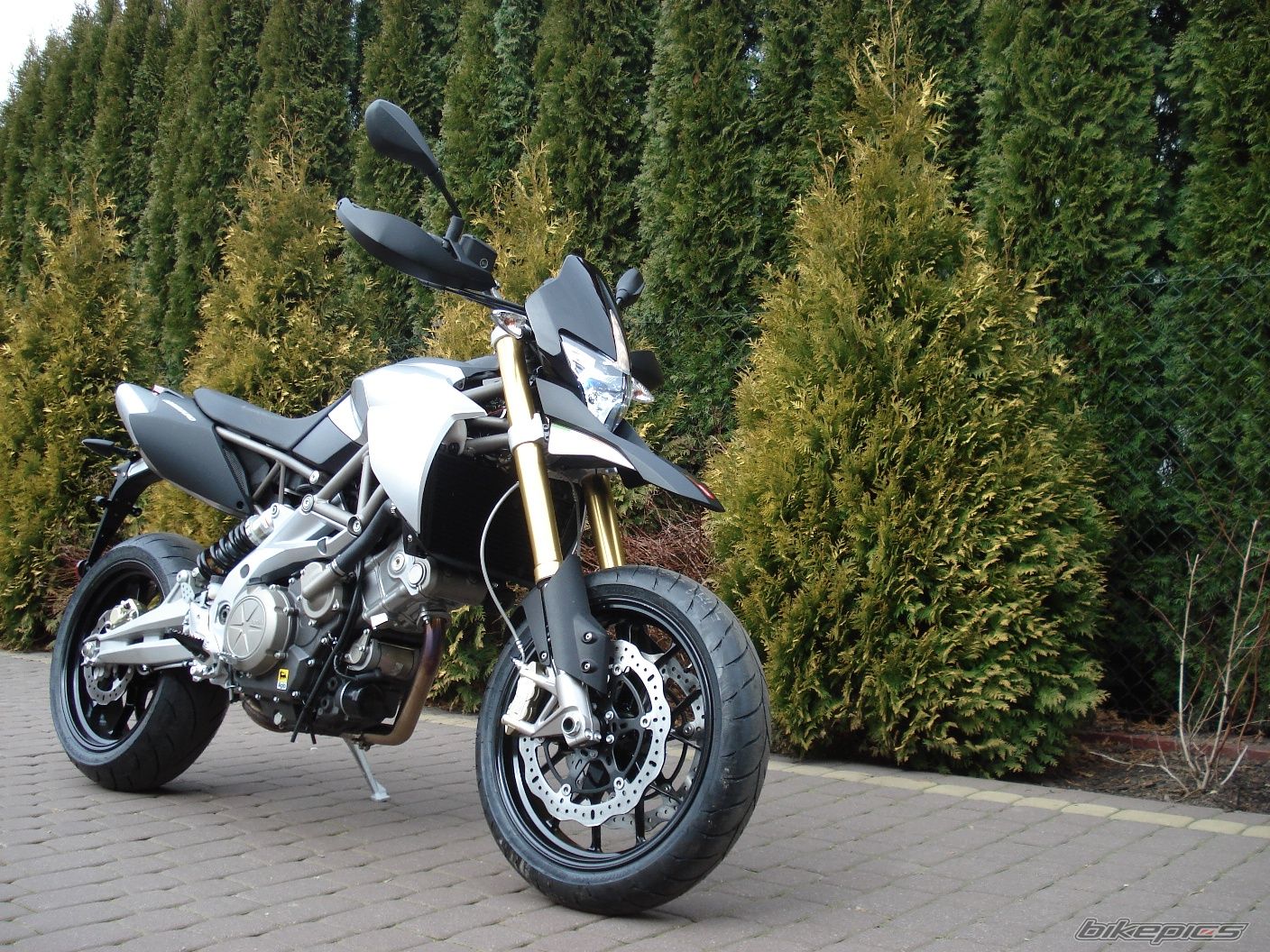 2009 APRILIA SMV 750 DORSODURO | Picture 1607010 motorcycle photo