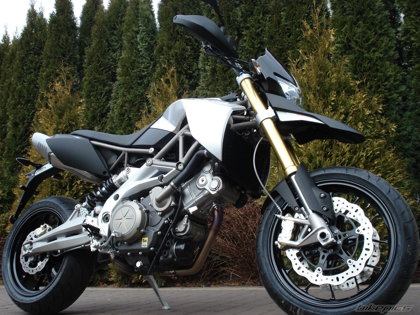 2009 APRILIA SMV 750 DORSODURO | Picture 1607012 motorcycle photo