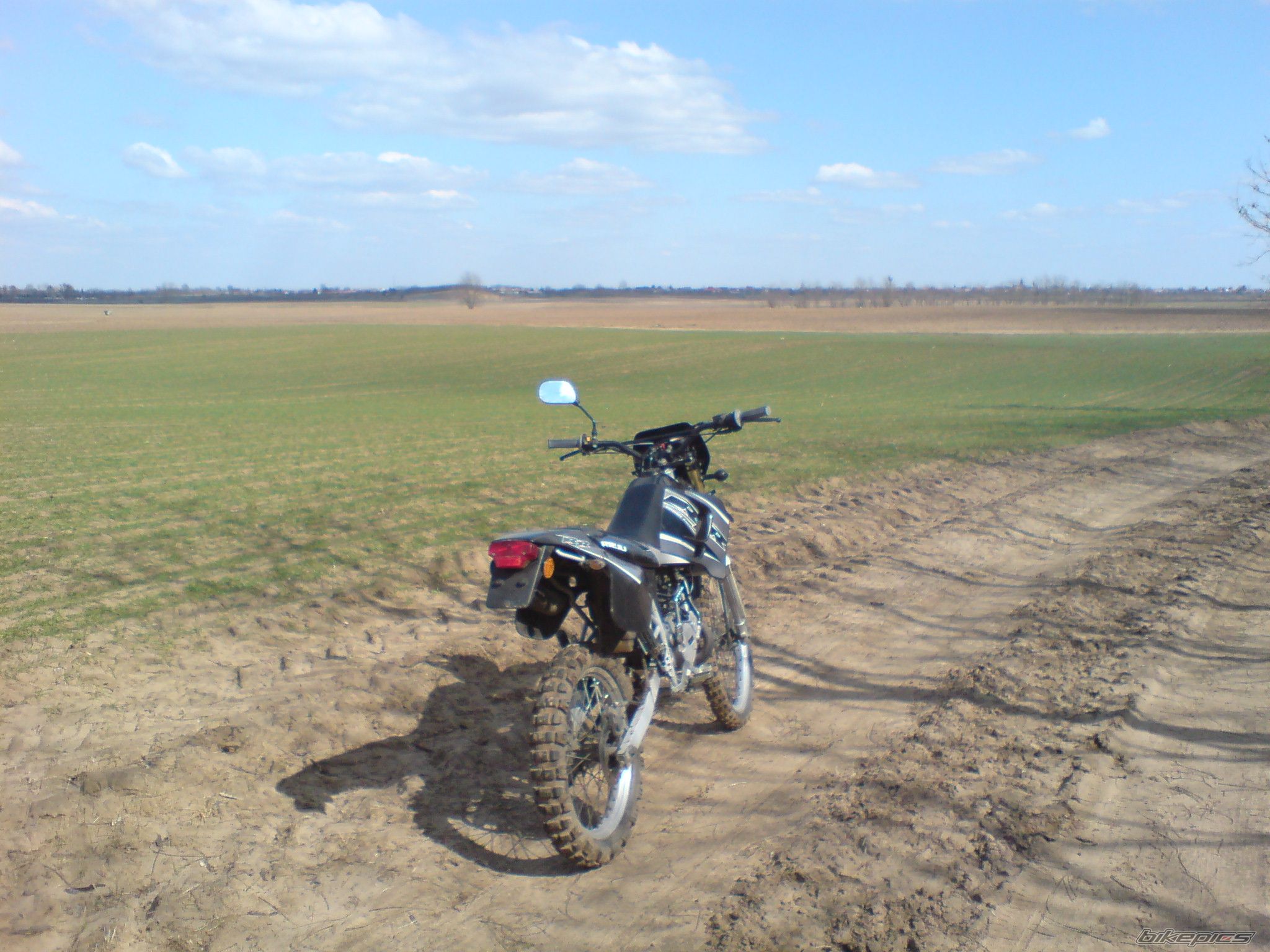 2008 RIEJU RR 50 | Picture 1607220 motorcycle photo