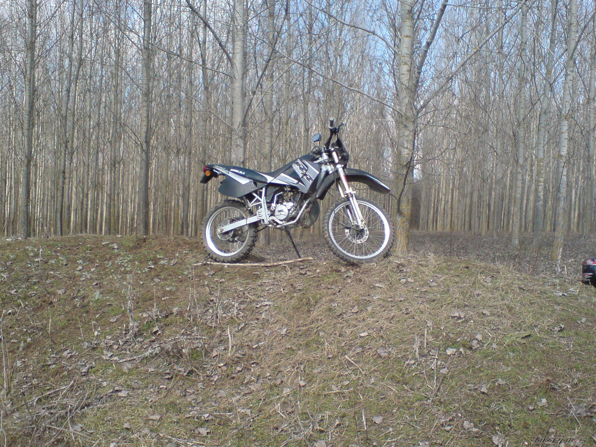2008 RIEJU RR 50 | Picture 1607223 motorcycle photo