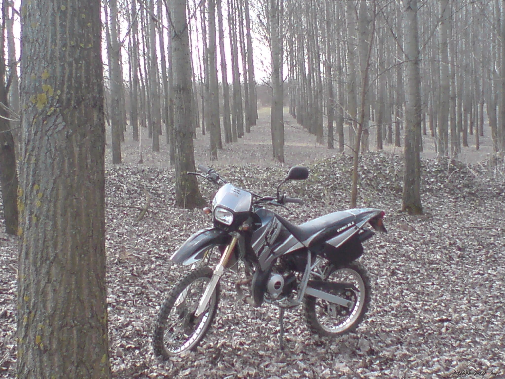 2008 RIEJU RR 50 | Picture 1607231 motorcycle photo