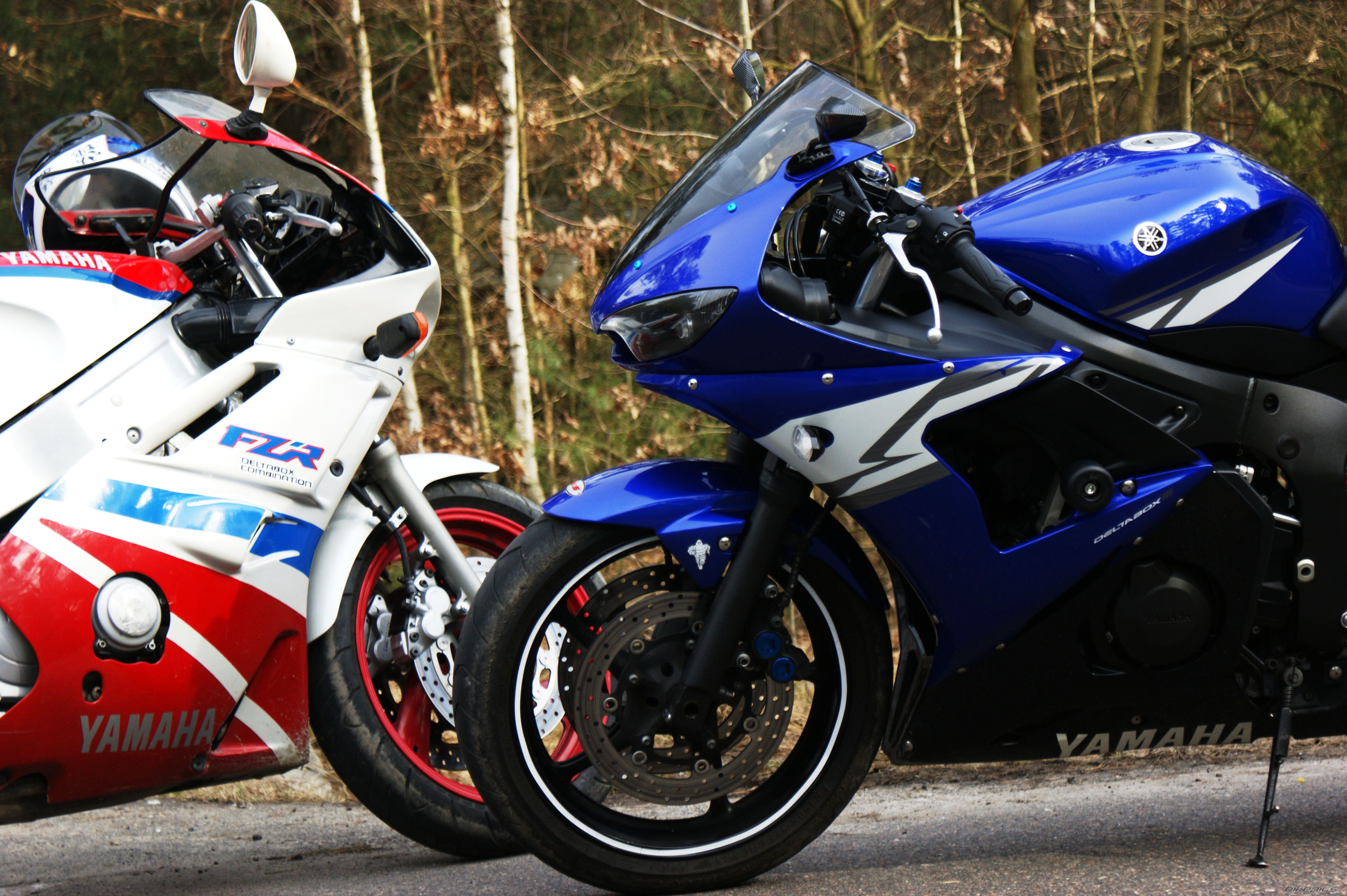 2004 YAMAHA YZF R6 | Picture 1607267 motorcycle photo