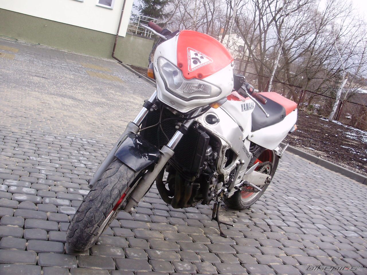 1991 YAMAHA FZR 1000 | Picture 1607738 motorcycle photo