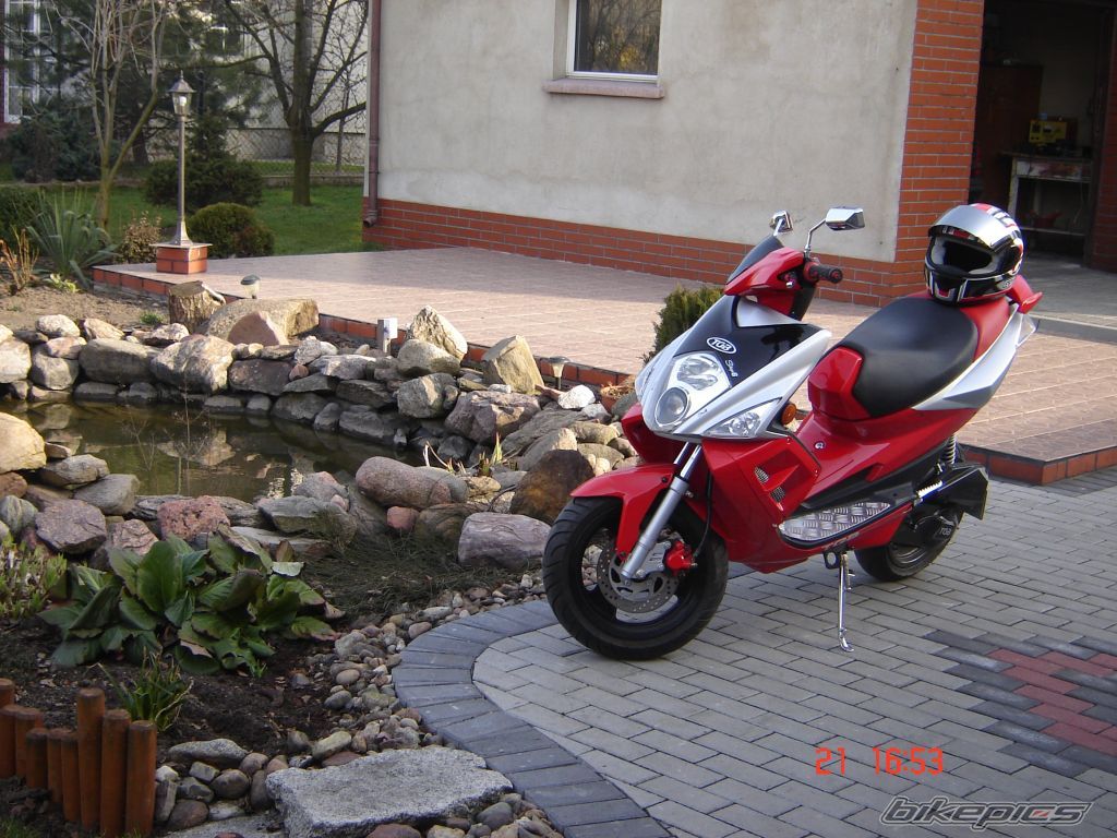 2006 TGB RACING 50 XTREME | Picture 1608273 motorcycle photo