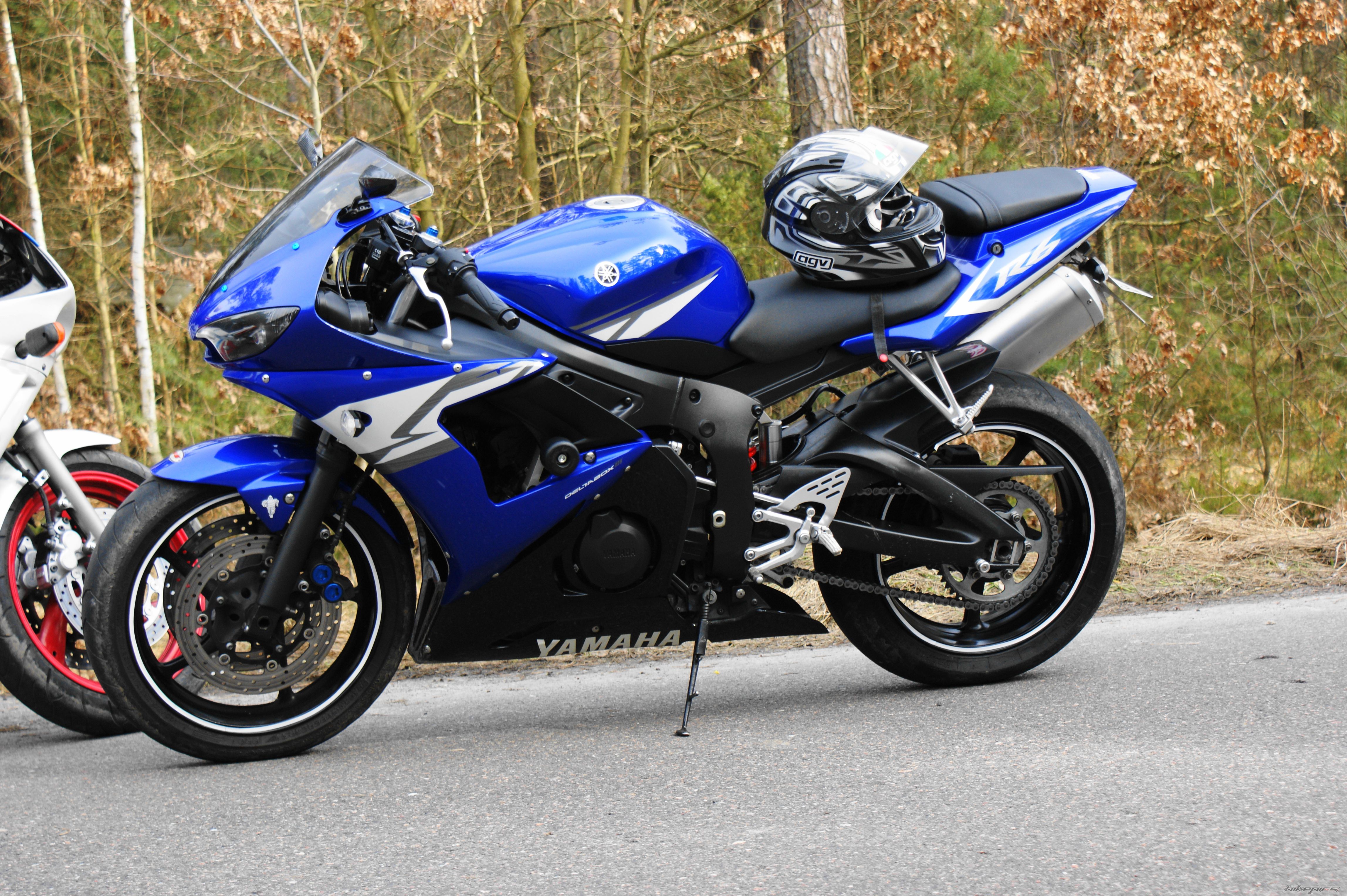 2004 YAMAHA YZF R6 | Picture 1608352 motorcycle photo