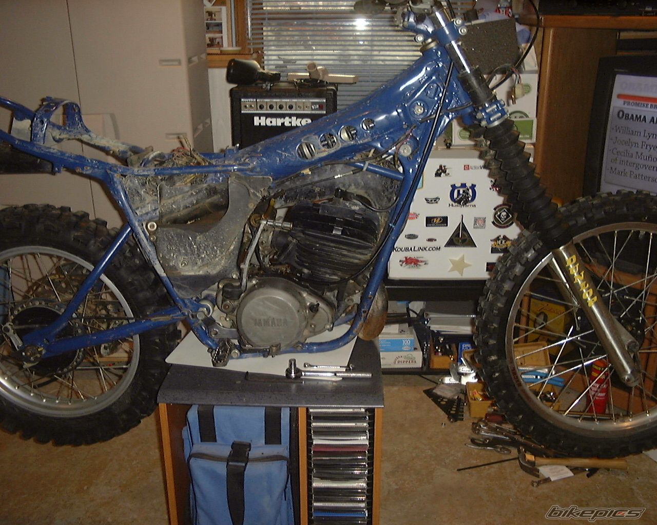 1980 YAMAHA IT 250 | Picture 1608401 motorcycle photo