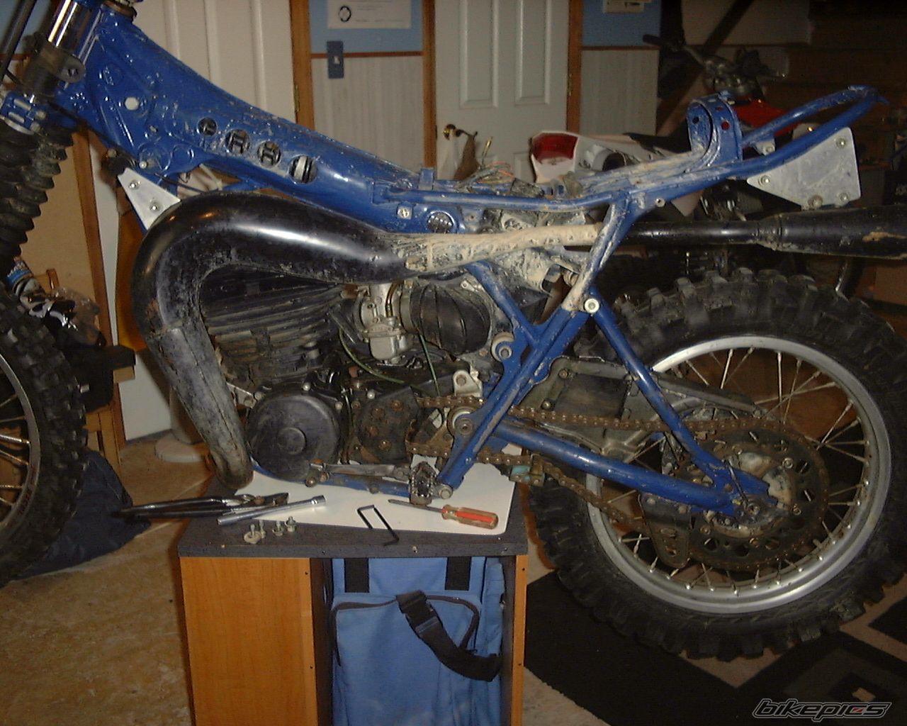 1980 YAMAHA IT 250 | Picture 1608518 motorcycle photo