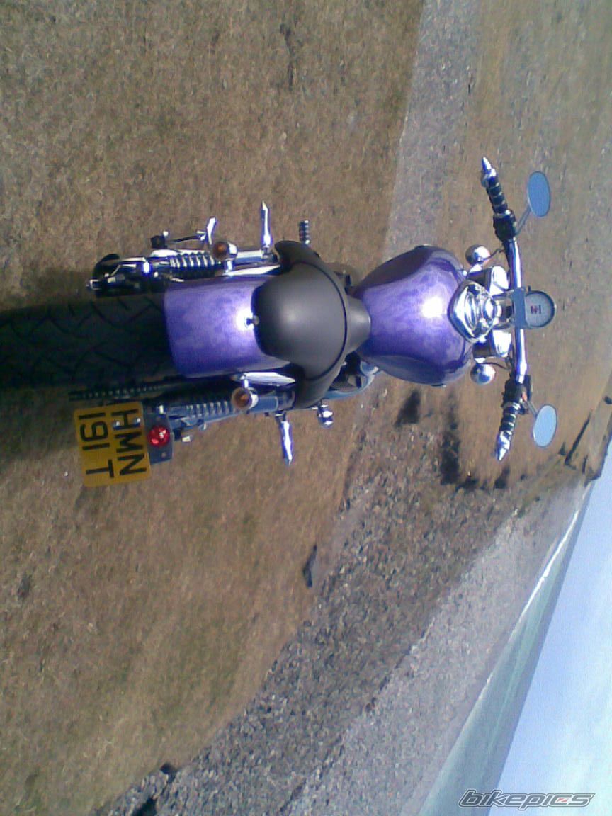 2006 TRIUMPH SPEEDMASTER | Picture 1608974 motorcycle photo