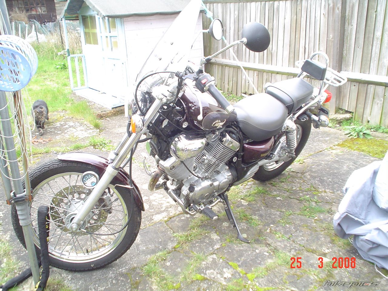 1996 YAMAHA VIRAGO 535 | Picture 1609020 motorcycle photo