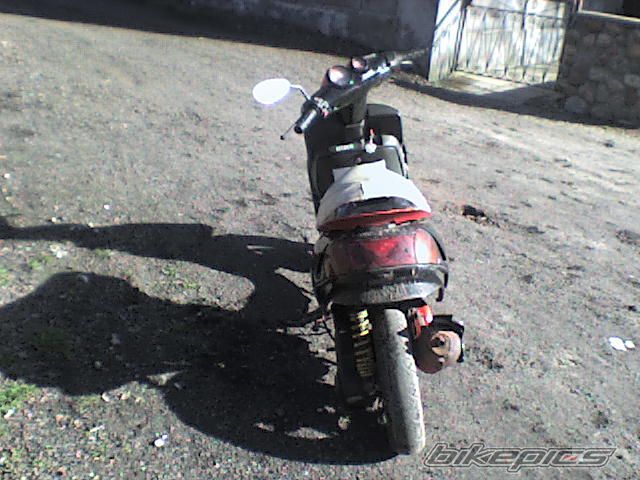 1999 MALAGUTI F 10 50 | Picture 1609191 motorcycle photo